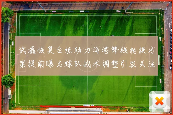 武磊恢复合练助力海港锋线轮换方案提前曝光球队战术调整引发关注